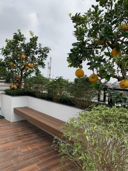 Bán nhà 7 tầng vị trí trung tâm tại Phường Thanh Nhàn, Hai Bà Trưng, Hà Nội